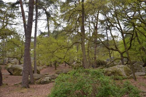 Тур 1RD ч.3 843.JPG