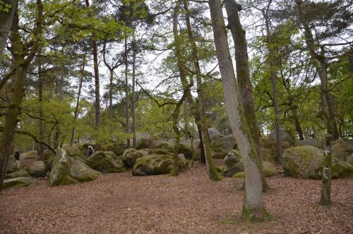 Тур 1RD ч.3 839.JPG