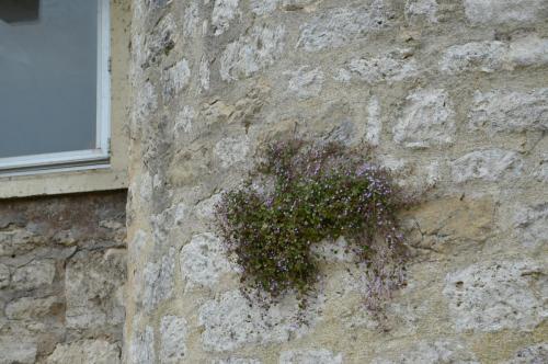 Тур 1RD ч.3 1072.JPG