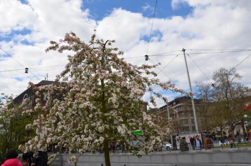 Тур 1RD ч.2 282.JPG