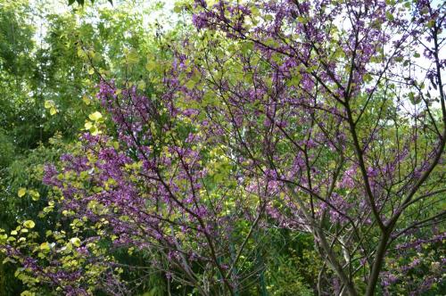 Тур 1RD ч.3 1143.JPG