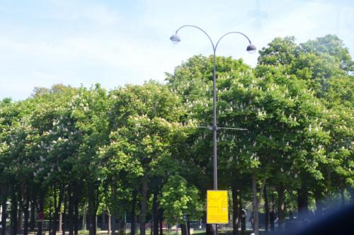 Тур 1RD ч.3 596.JPG