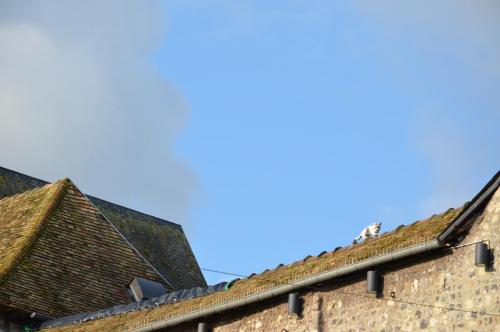 Тур 1RD ч.3 1599.JPG