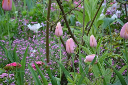 Тур 1RD ч.3 1128.JPG