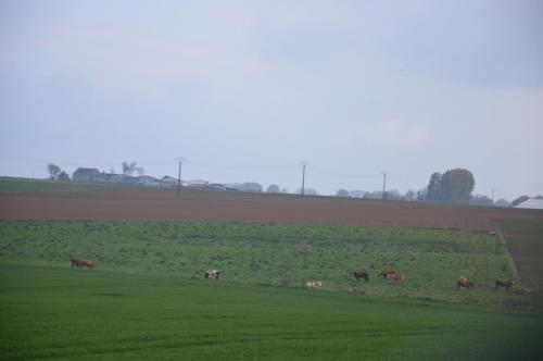 Тур 1RD ч.3 1717.JPG