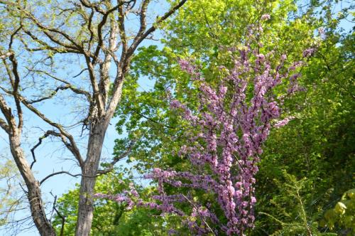 Тур 1RD ч.3 478.JPG