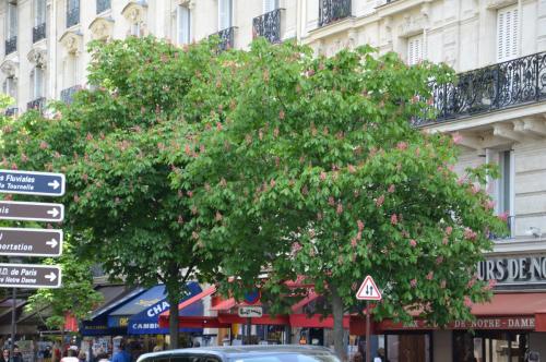 Тур 1RD ч.3 609.JPG