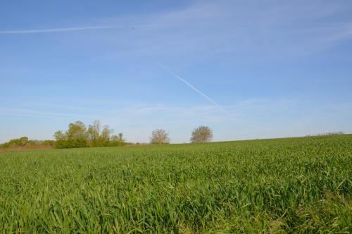 Тур 1RD ч.3 425.JPG