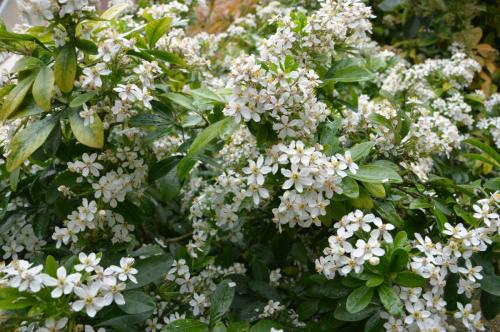 Тур 1RD ч.3 992.JPG