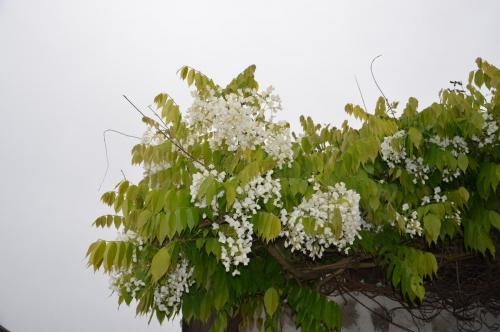 Тур 1RD ч.3 764.JPG