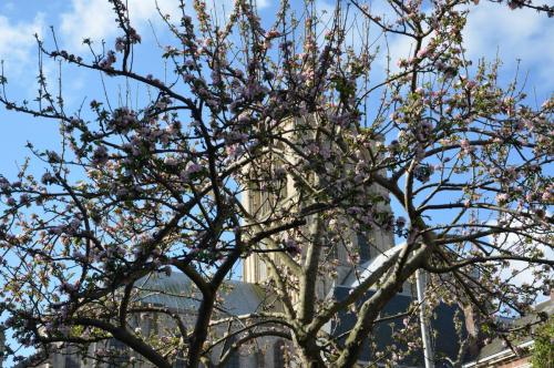 Тур 1RD ч.3 1246.JPG