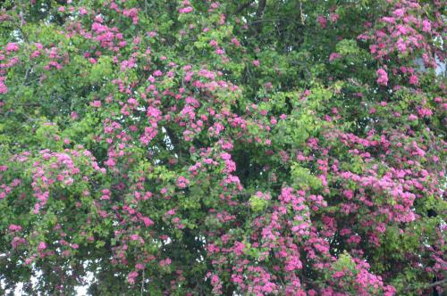 Тур 1RD ч.3 1652.JPG