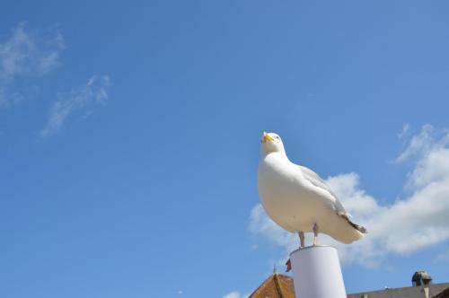 Тур 1RD ч.3 1394.JPG