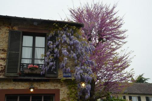 Тур 1RD ч.3 866.JPG