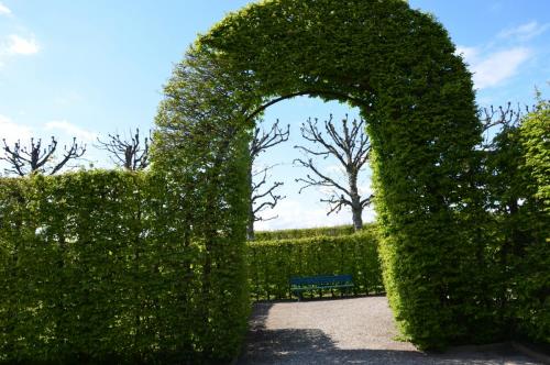 Тур 1RD ч.2 390.JPG