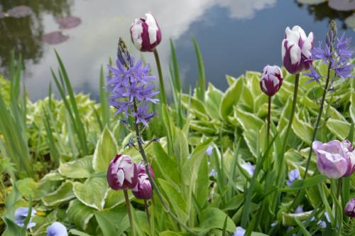 Тур 1RD ч.3 1136.JPG