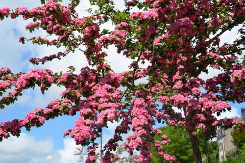 2F-Avia,ч.4 561.JPG