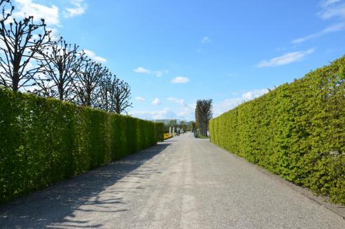 Тур 1RD ч.2 383.JPG