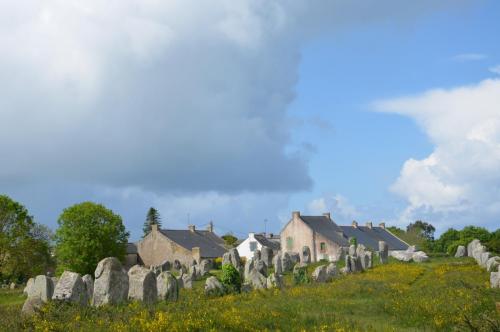 2F-Avia,ч.4 493.JPG