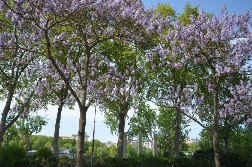 Тур 1RD ч.3 635.JPG