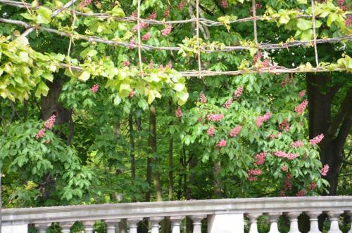 Тур 1RD ч.2 127.JPG