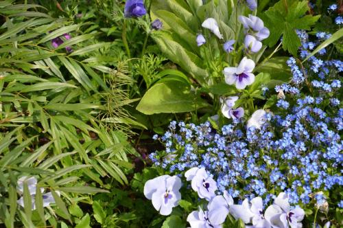 Тур 1RD ч.3 1138.JPG