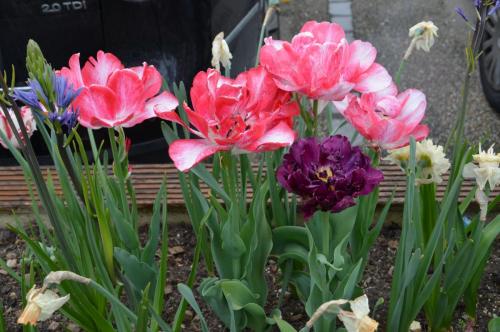 Тур 1RD ч.3 903.JPG