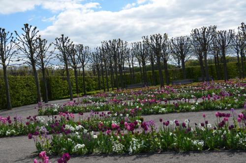 Тур 1RD ч.2 369.JPG