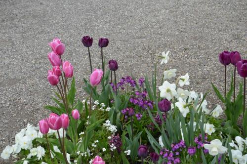 Тур 1RD ч.2 487.JPG