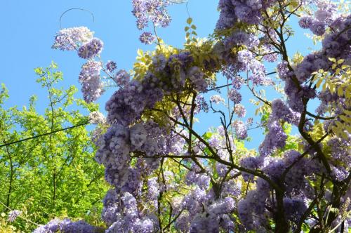 Тур 1RD ч.3 454.JPG