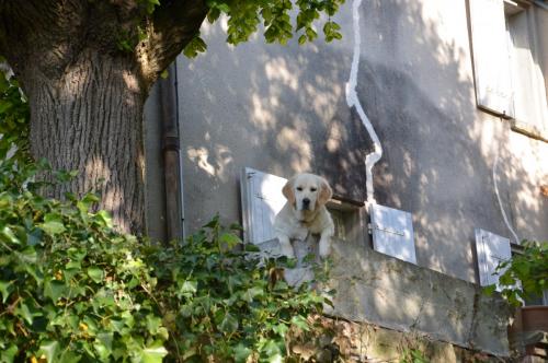 Тур 1RD ч.3 423.JPG