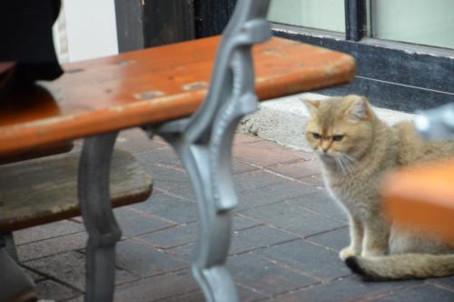 Тур 1RD ч.2 493.JPG