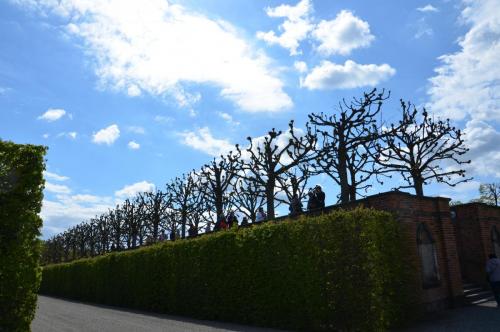 Тур 1RD ч.2 436.JPG