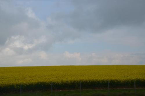 Тур 1RD ч.3 1718.JPG