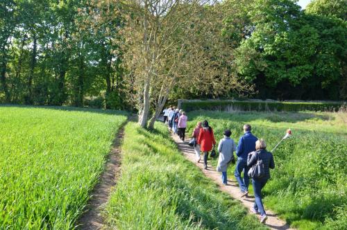 Тур 1RD ч.3 433.JPG