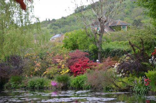 Тур 1RD ч.3 1123.JPG