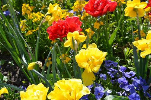 Тур 1RD ч.2 400.JPG