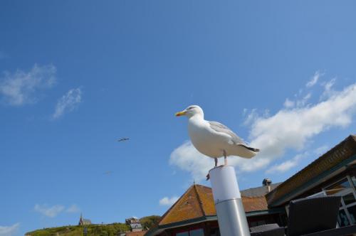 Тур 1RD ч.3 1393.JPG