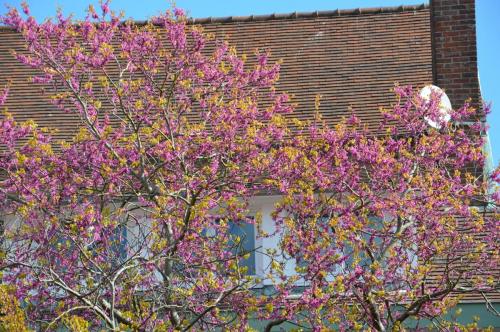 Тур 1RD ч.3 1264.JPG