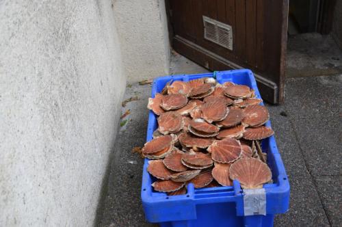 Тур 1RD ч.3 1662.JPG