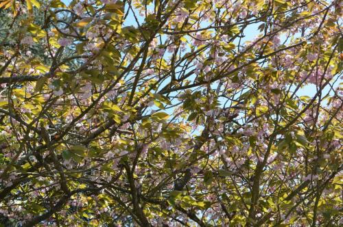 Тур 1RD ч.3 1410.JPG