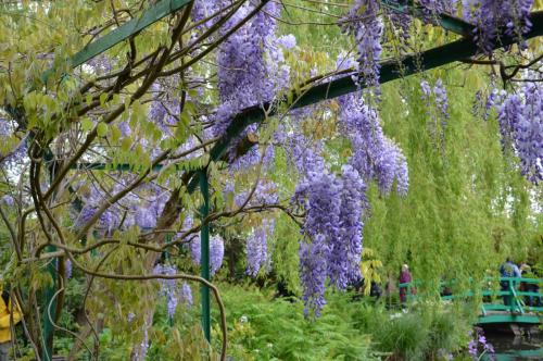 Тур 1RD ч.3 1119.JPG