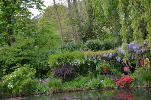 Тур 1RD ч.3 1124.JPG