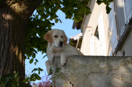 Тур 1RD ч.3 424.JPG