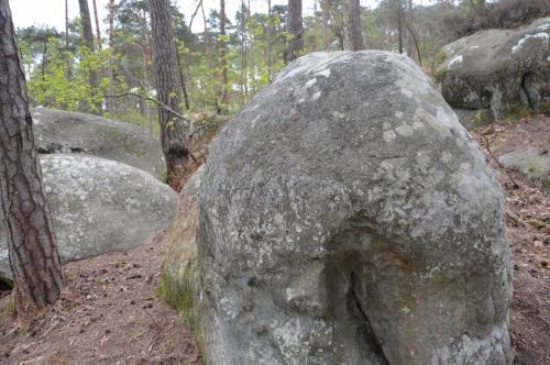 Тур 1RD ч.3 844.JPG