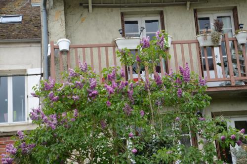 Тур 1RD ч.3 1069.JPG