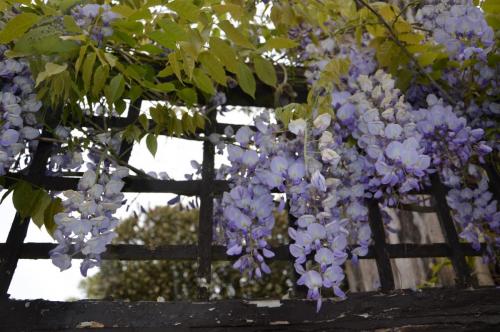 Тур 1RD ч.3 797.JPG