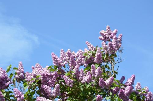 Тур 1RD ч.3 567.JPG