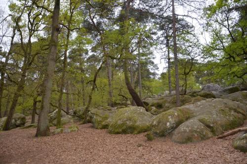 Тур 1RD ч.3 838.JPG