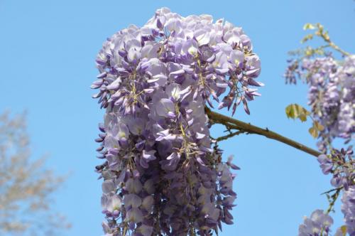 Тур 1RD ч.3 459.JPG